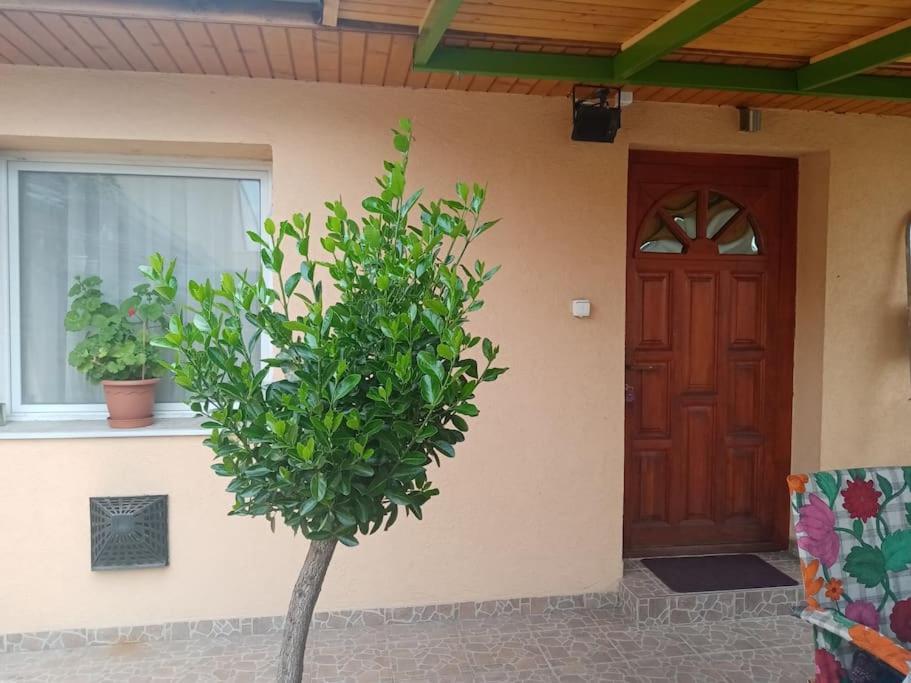 D38 Pestelizabeth Apartman Διαμέρισμα Βουδαπέστη Εξωτερικό φωτογραφία